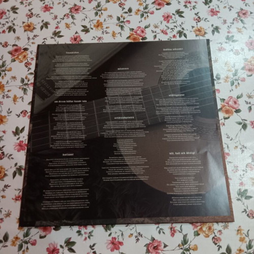 Dimbild-Dunkelglod vinyl record new, folk acoustic journey