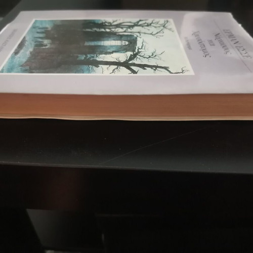 Narcissus and Goldmund by Hermann Hesse novel