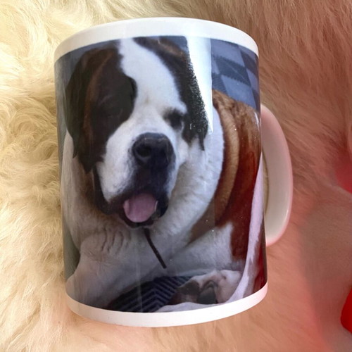Porcelain mug with Bernadiner like new, beautiful print