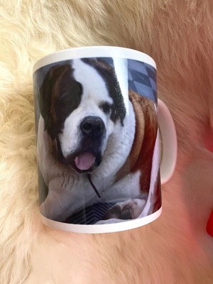 Porcelain mug with Bernadiner like new, beautiful print