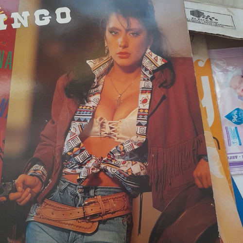 Gringo Sabrina vinyl record used, pop music