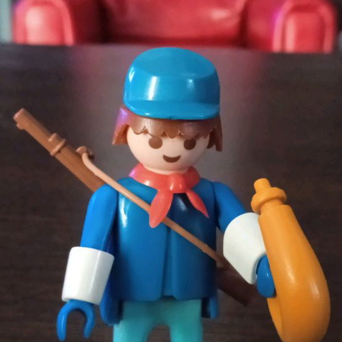 Playmobil used
