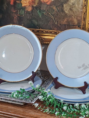 Royal Doulton porcelain dinner plates set of 6, gold rim, 25 cm