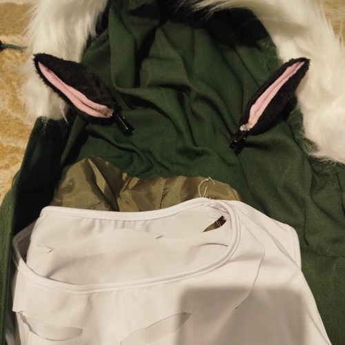 Carnival costume new