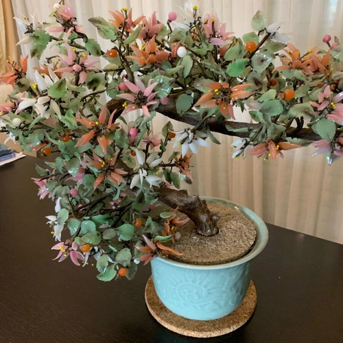 Bonsai jade tree collectible like new in ceramic pot