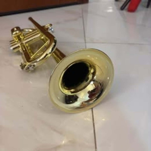 pTrumpet HyTech trumpet used, gold color with hard case and mouthpiece