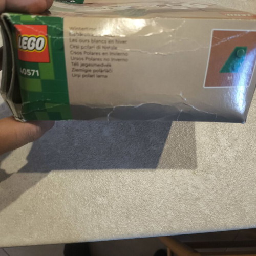 Lego 40571 Polar Bears sealed