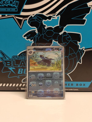 Pokemon Tirtouga Master Ball 022/086 new condition