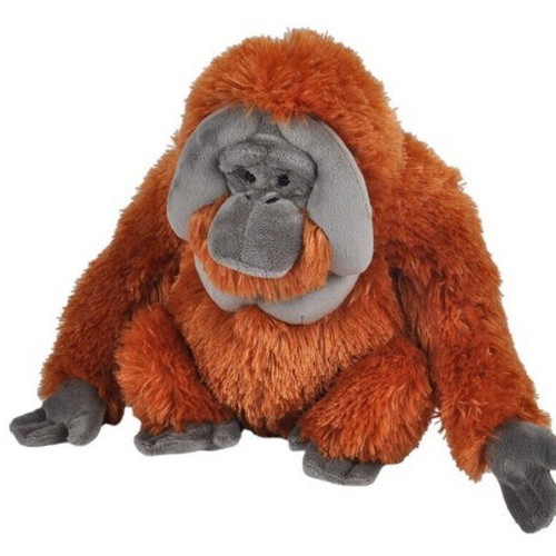 Cuddlekins Orangutan Male 30cm plush new, orangutan