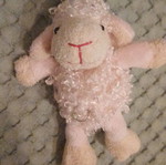 Keychain lamb used new
