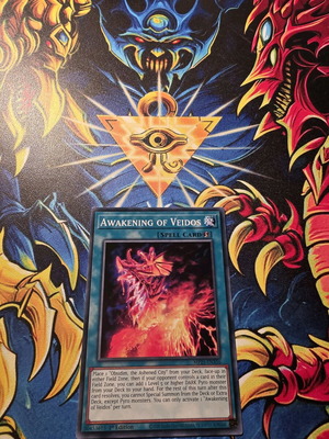 Awakening of Veidos 1st edition like new