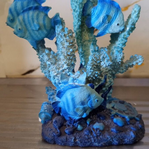 Decorative coral design with fish, new marine landscape