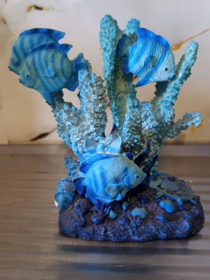 Decorative coral design with fish, new marine landscape