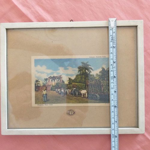 Framed print with vintage sugar cane weighing image in Havana used
