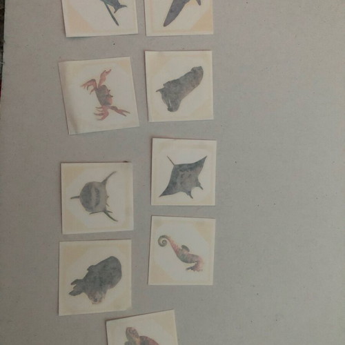 Temporary tattoos with sea animals, like new, set of 9