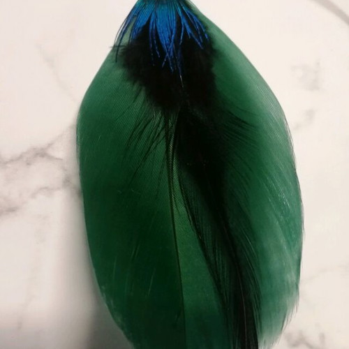 Long necklace with crystals and green feather motif like new