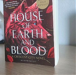 House of earth and blood