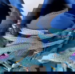  Nike Αθλητικά Παιδικά Παπούτσια Running Giannis Immortality 4 Τιρκουάζ EU 32