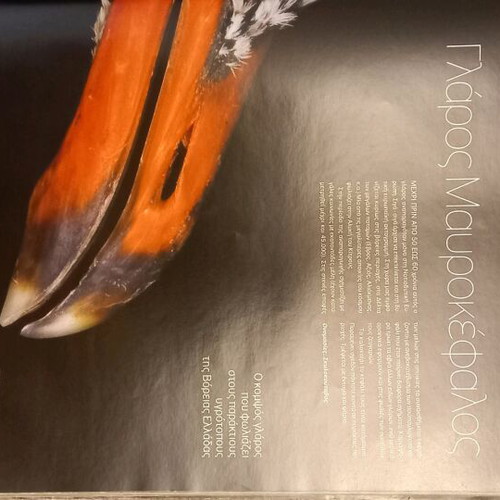 Fterotos Kosmos photography book used