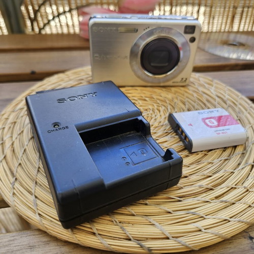 Sony Cyber-shot DSC-W110 7.2 MP Compact Digital Camera