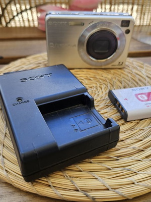 Sony Cyber-shot DSC-W110 7.2 MP Compact Digital Camera