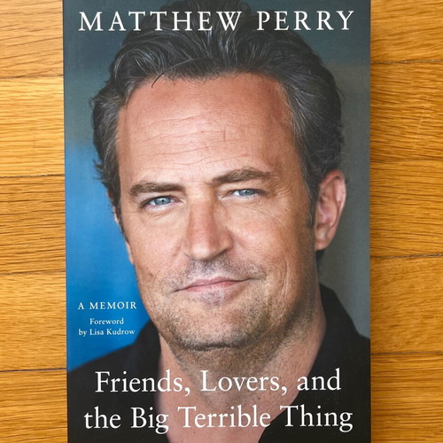 Friends, lovers, and the big terrible thing memoir like new