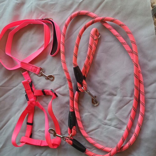 Dog leash and harness set GLEE like new, adjustable, reflective