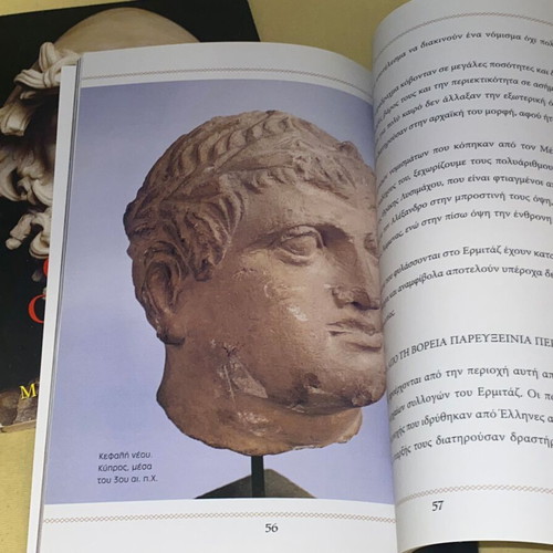 Homer's Odyssey & Hermitage Museum books new, arts genre