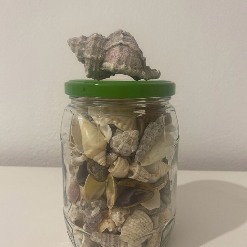 Jar with shells like new from Gibraltar and Greece for decoration