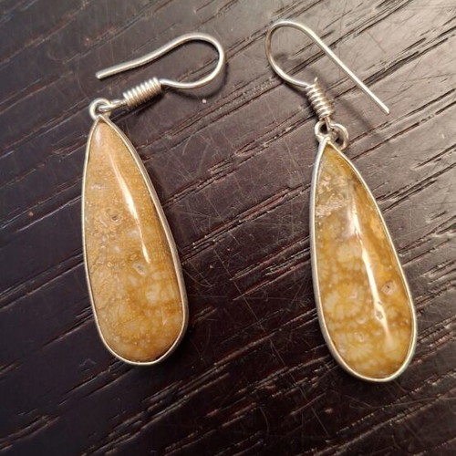 Fossil Coral Earrings new, silver plated 925