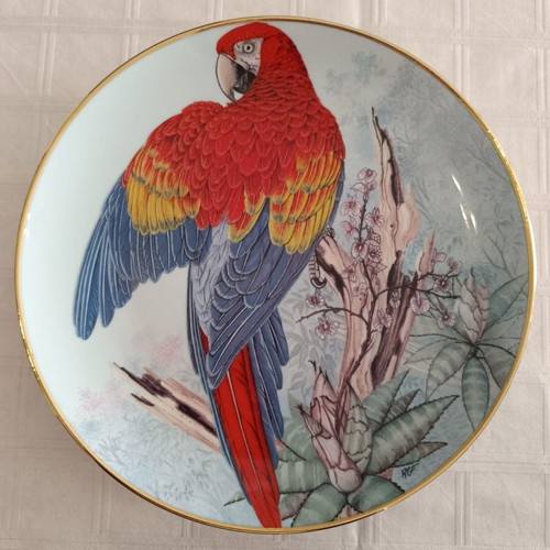 Collectible plates used, set of 5, tropical parrots, Kaiser W. Germany