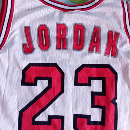 NBA Chicago Bulls Champion Europe 90s Authentic White Jersey Jordan used, size XXL