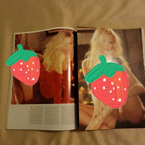 Playboy magazine with Daryl Hannah used, November 2003 issue