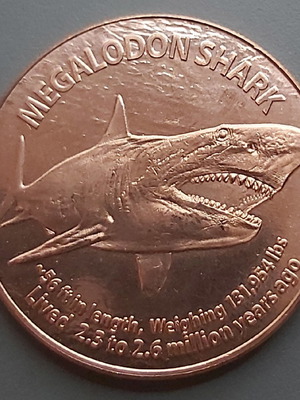 1oz Shark Copper new