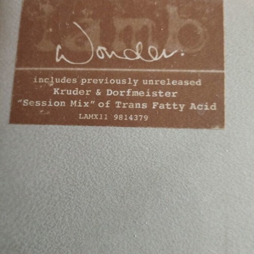 Lamb Wonder 10" Single like new, electronic