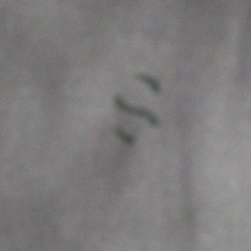 Women's Leggings H&M