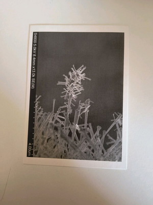 Card postal like new