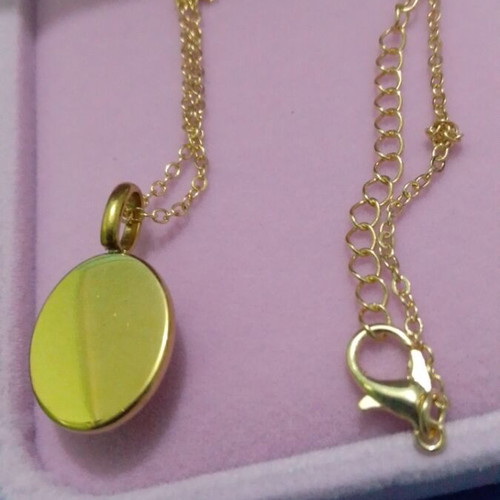 Steel pendant gold plated new in gift box