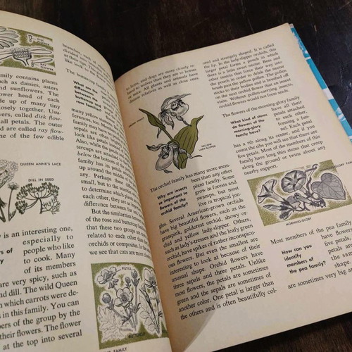 Wild Flowers 1962 book used, English edition