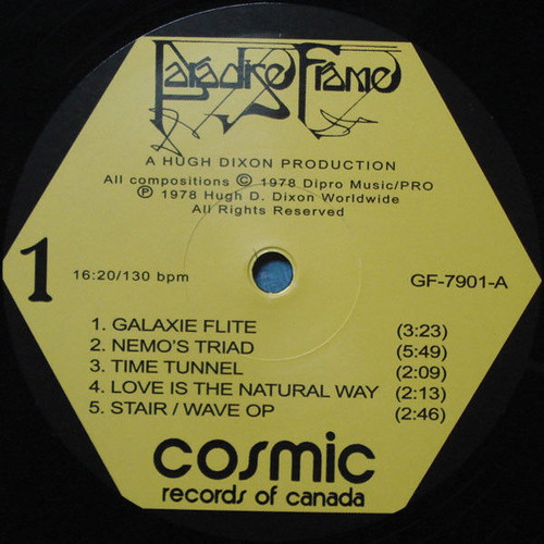 Paradise Frame record electronic used