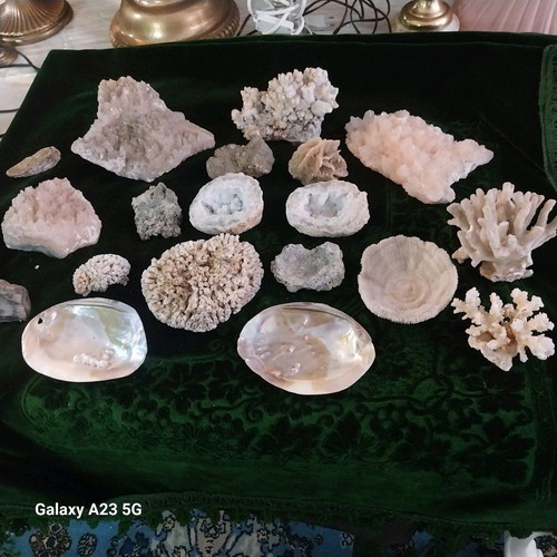 Coral and rock collection used, pack