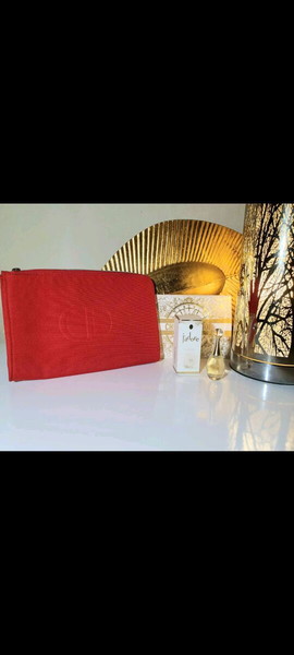 DIOR POUCH