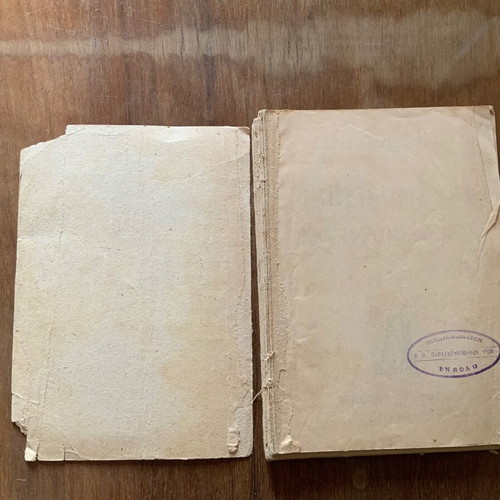 The Humiliated and Insulted book used