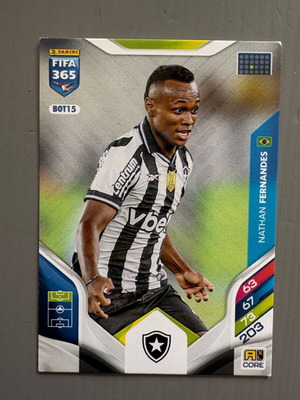 Fernandes Botafogo BOT15 Panini FIFA Adrenalyn 365 2025-26 used