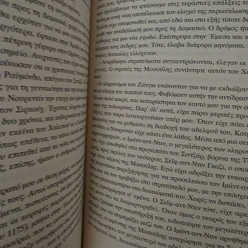 Saladin book by Geneviève Chauvel, Enalios editions