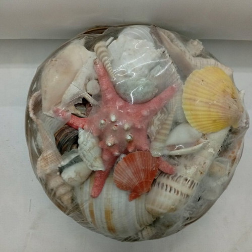 Shell collection like new, packaged
