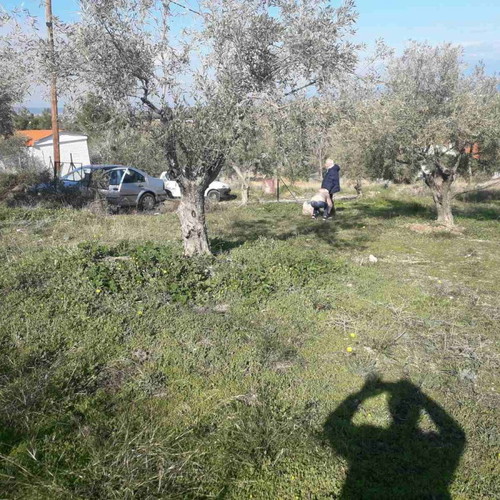 Land plot 220 sqm with 13-meter road frontage, Panorama Zegolatio location