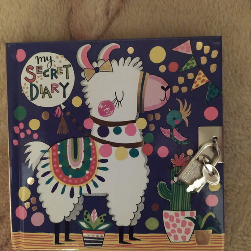 Secret Diary by Rachel Ellen new with colorful pages and lock