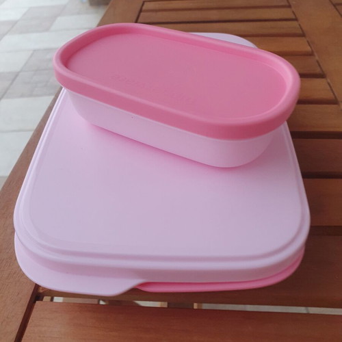 Tupperware food container with compartments and mini container