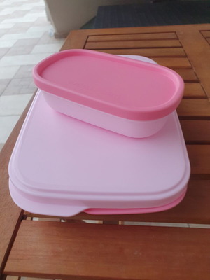 Tupperware food container with compartments and mini container